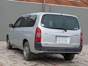 Toyota Probox 2009 Silver