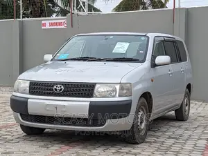 Toyota Probox 2009 Silver