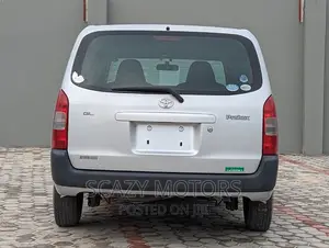 Toyota Probox 2009 Silver