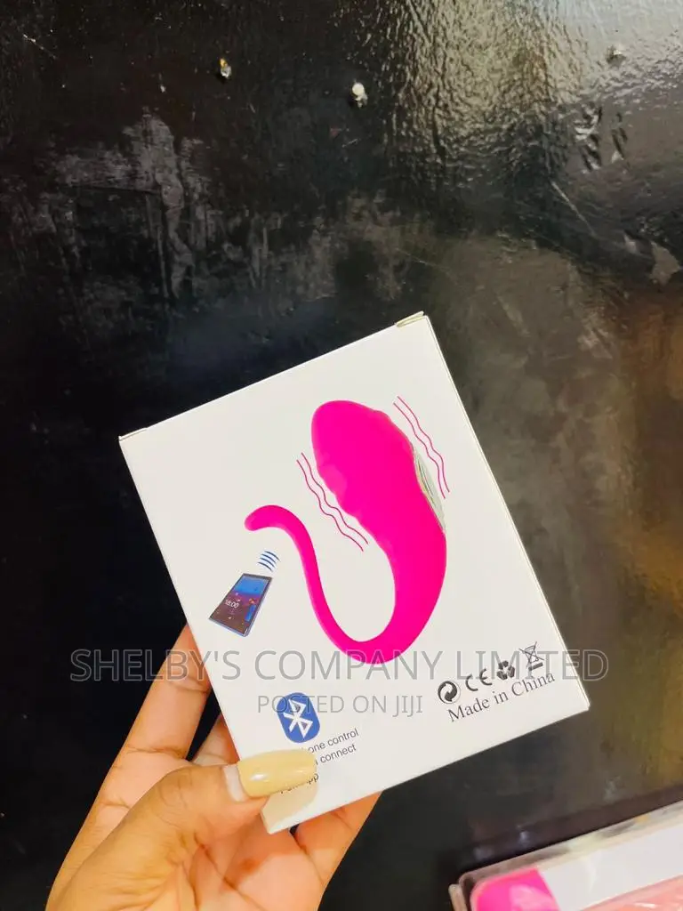 Lovense Vibrator