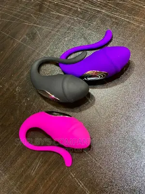 Lovense Vibrator