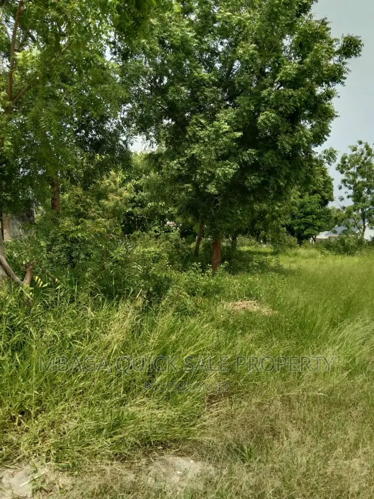 Plot for Sale at Salasala Mwanzo
