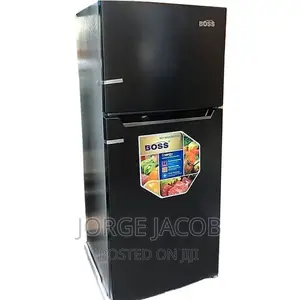 Boss Fridge BS 110 SS