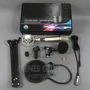 Microphone Condesor,Stand,Pop Filter,