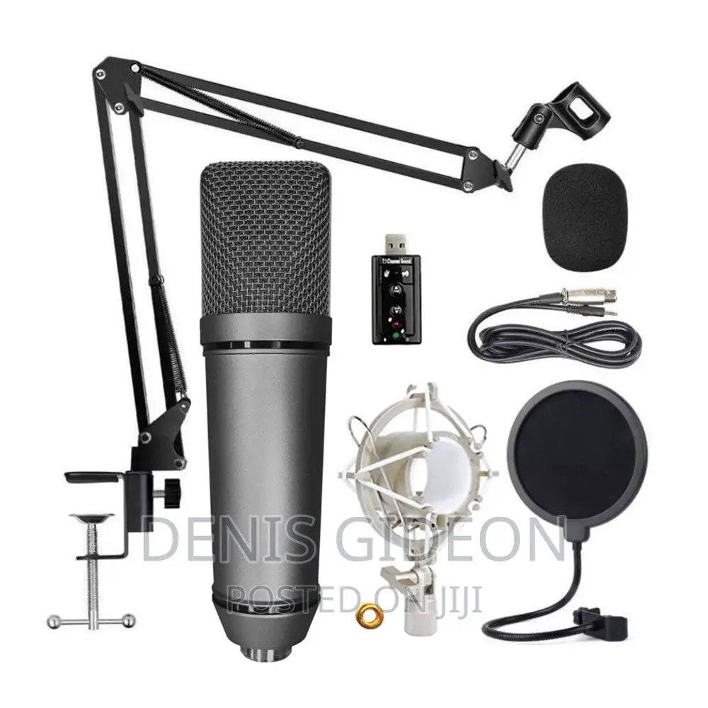 Microphone Condesor,Stand,Pop Filter,