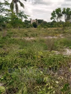 Beach Plot Inauzwa Bagamoyo Kaole