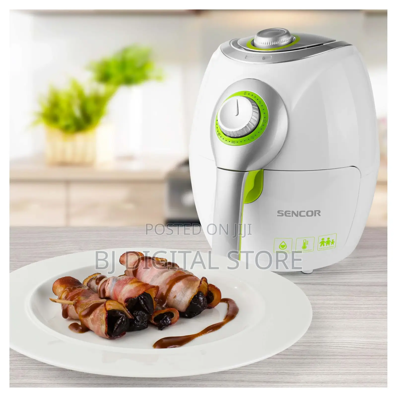 Vita Fryer
