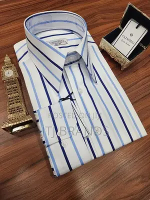 Classic Men's Shirts