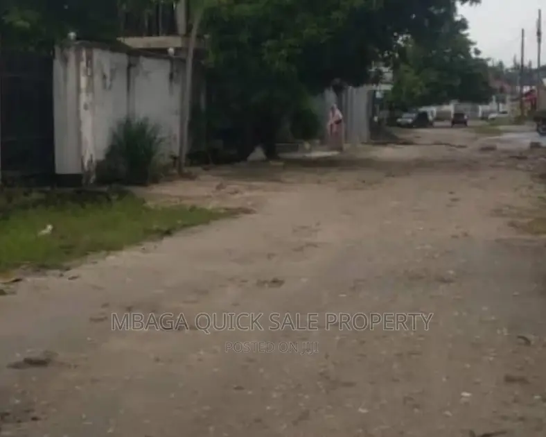 Ware House for Rent at Chang'ombe Area