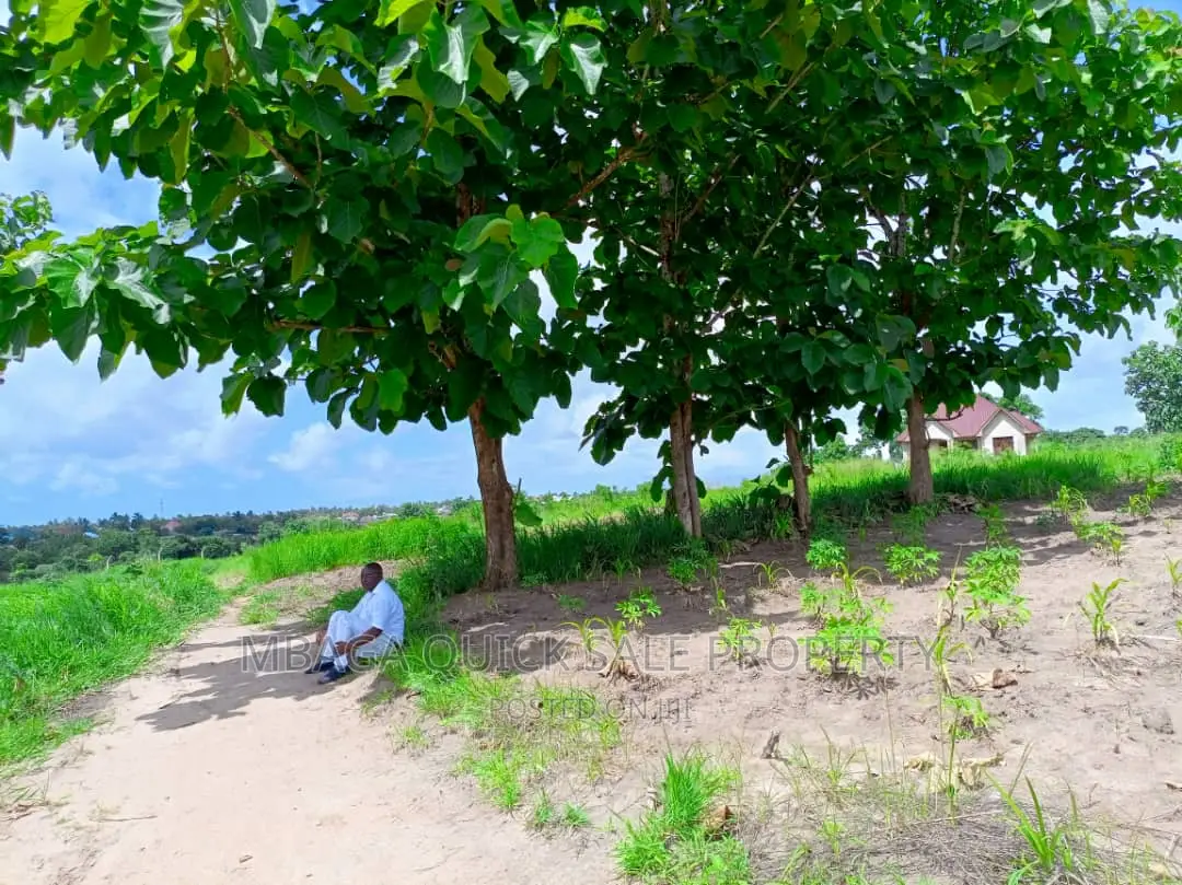 Plot for Sale at Mabwepande