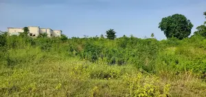 Kiwanja Kinauzwa Gezaulole Kigamboni,Land for Sale