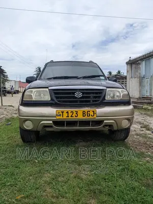 Suzuki Escudo 2000 Blue