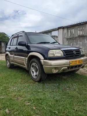 Suzuki Escudo 2000 Blue