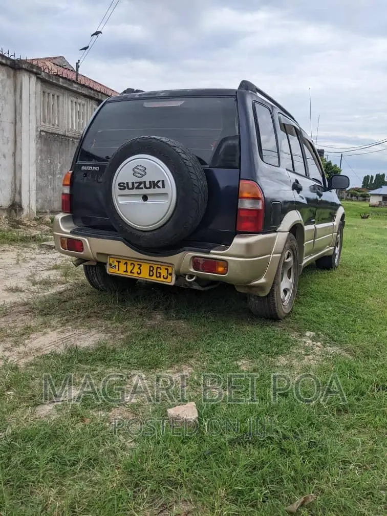 Suzuki Escudo 2000 Blue