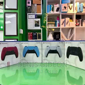PS5 Original Dual Pad Controller