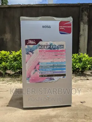 Fridge Kampuni Ya Boss