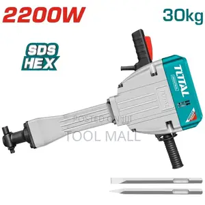 Total Demolition Breker 2200w