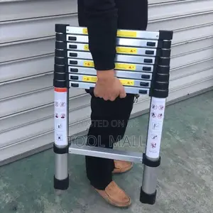 2metres Ladder
