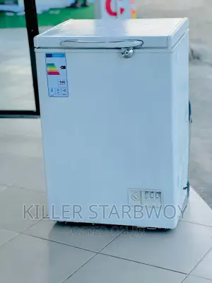 Freezer Lita 100