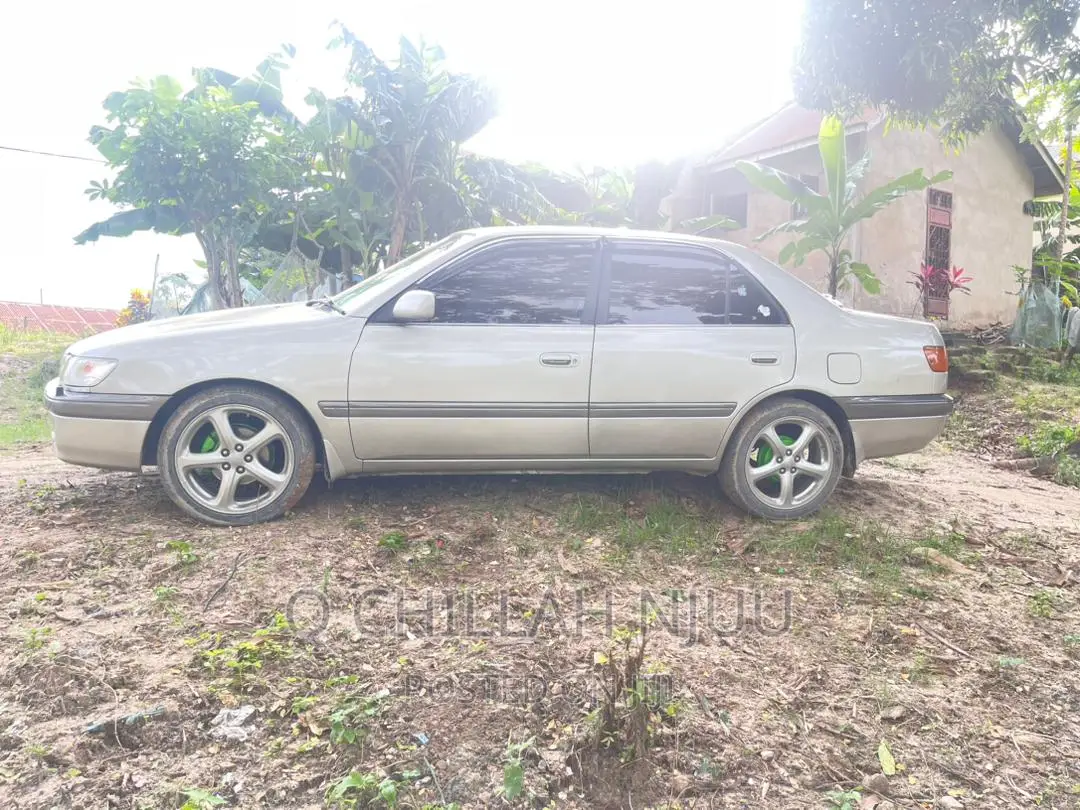 Toyota Corona Premio 1999 Silver