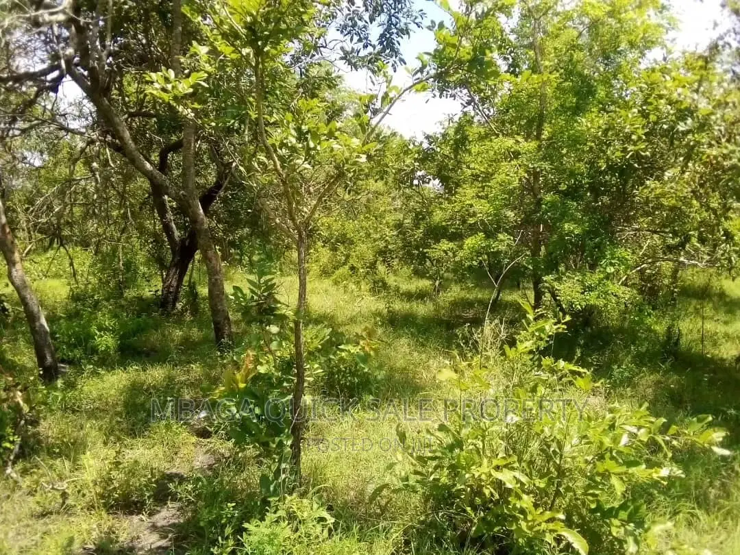 Farm for Sale at Bagamoyo Mkange Village 650 Acres 160m