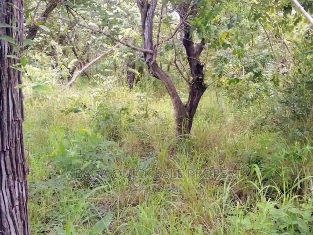 Farm for Sale at Bagamoyo Mkange Village 650 Acres 160m