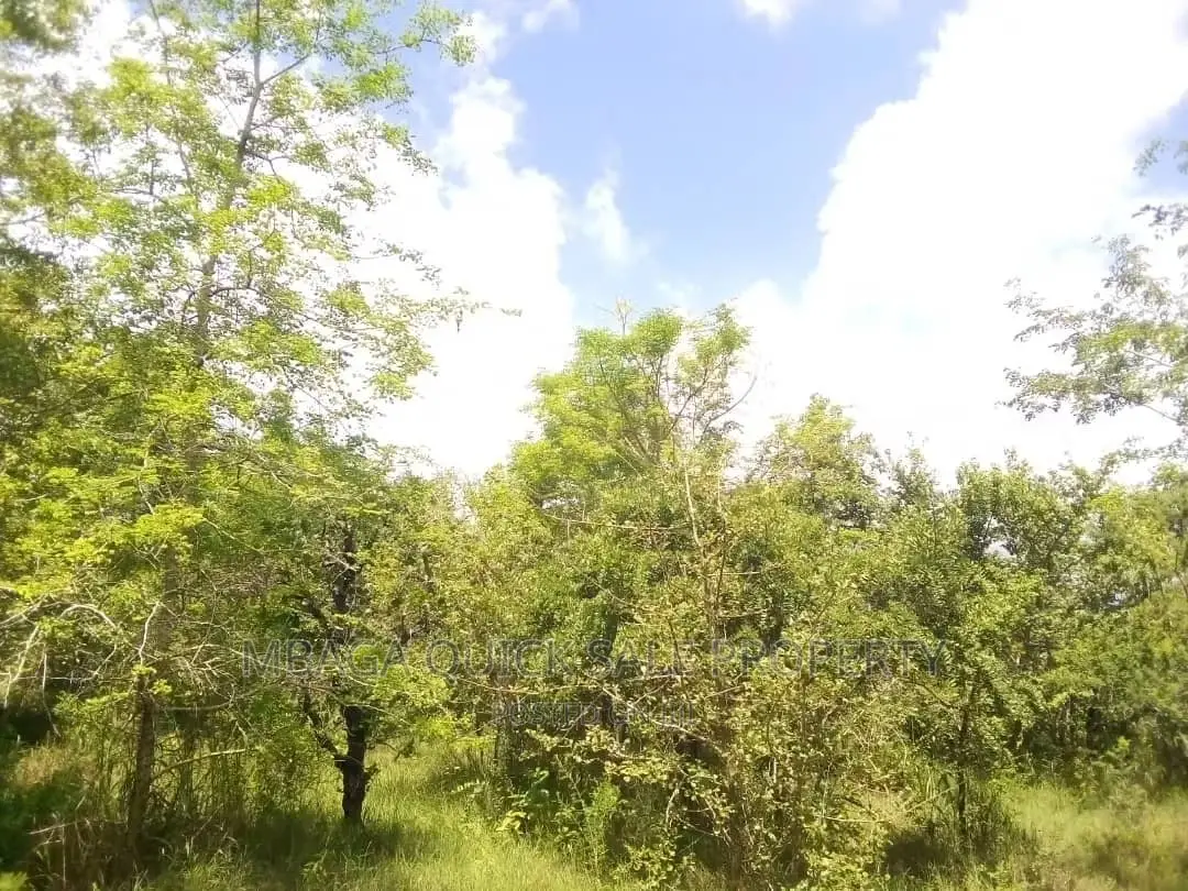 Farm for Sale at Bagamoyo Mkange Village 650 Acres 160m