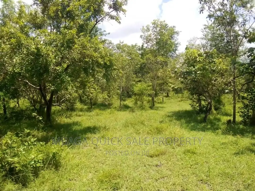 Farm for Sale at Bagamoyo Mkange Village 650 Acres 160m