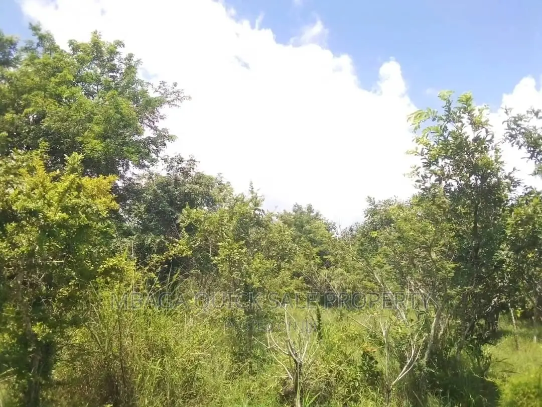 Farm for Sale at Bagamoyo Mkange Village 650 Acres 160m