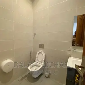 Furnished 3bdrm Apartment in Masaki for rent