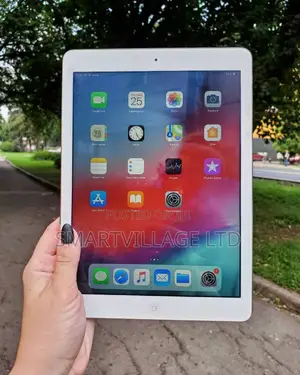 Apple iPad Air 16 GB Gray