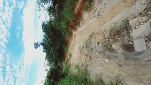 Beach Plot at Kilwa Masoko