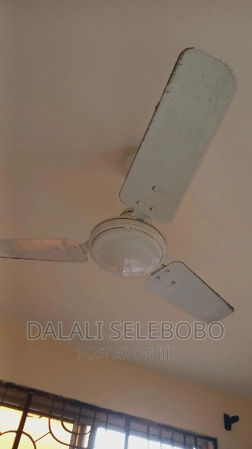 Mini Flat in Sinza Mori for rent