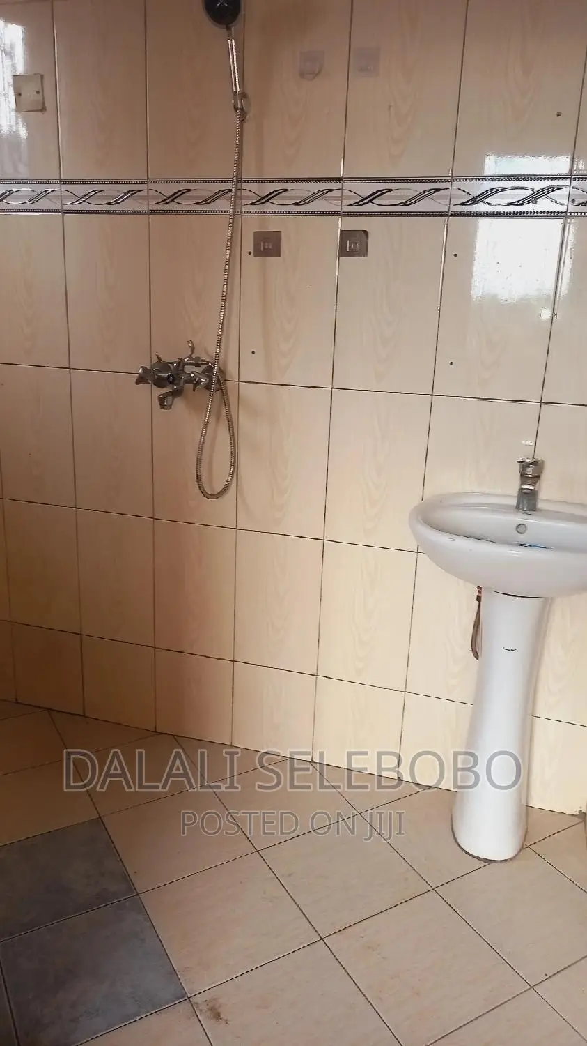 Mini Flat in Sinza Mori for rent