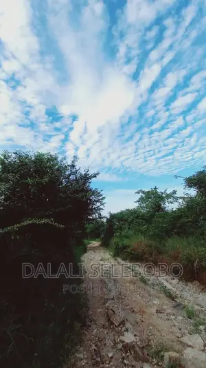 Beach Plot at Kilwa Masoko