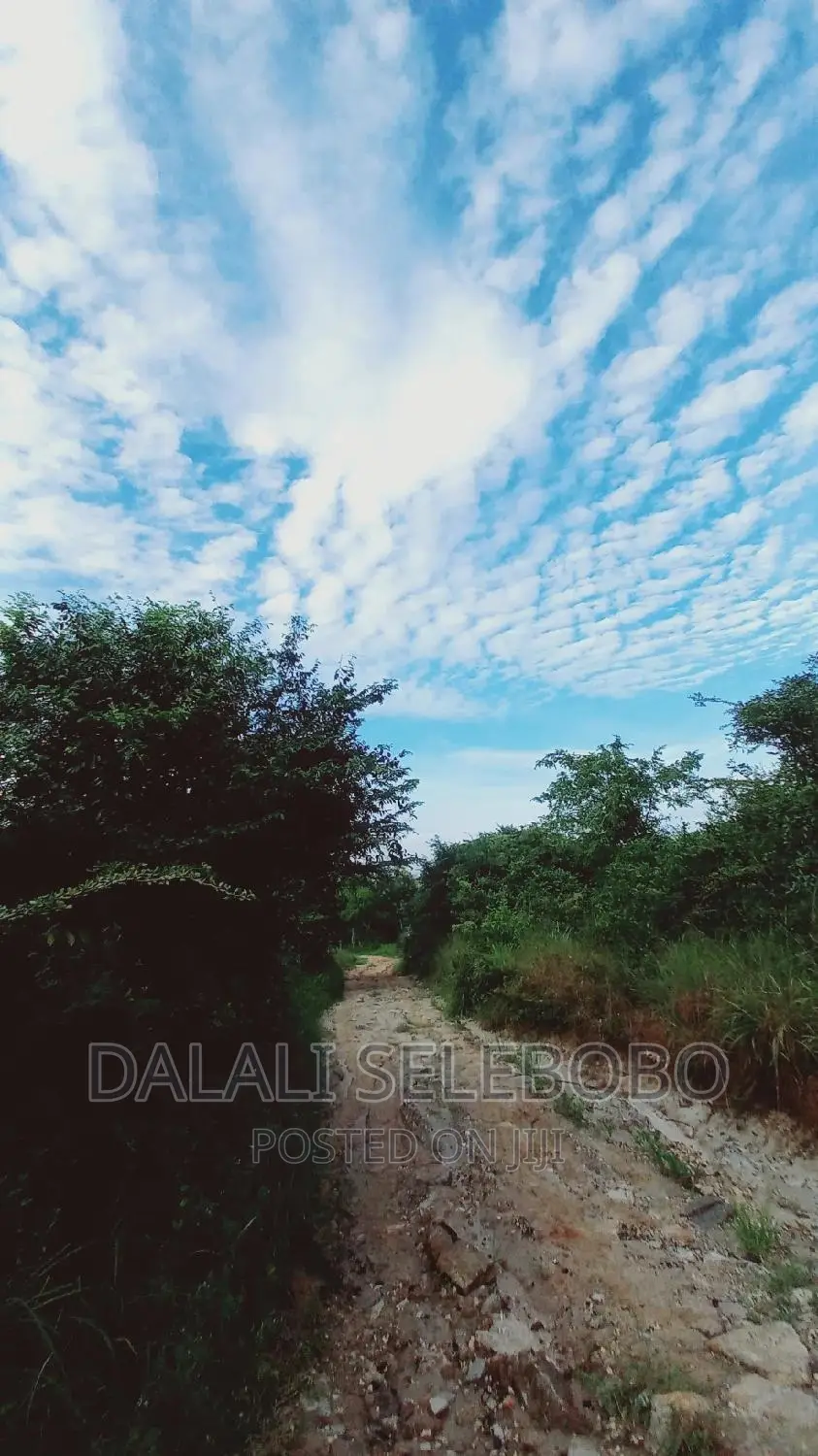 Beach Plot at Kilwa Masoko