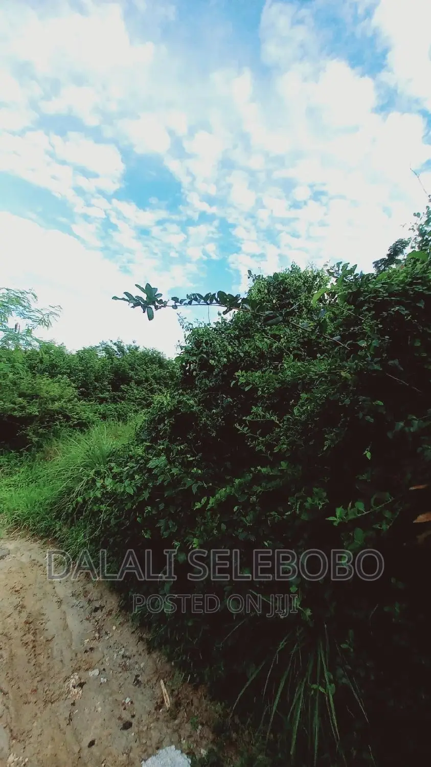 Beach Plot at Kilwa Masoko