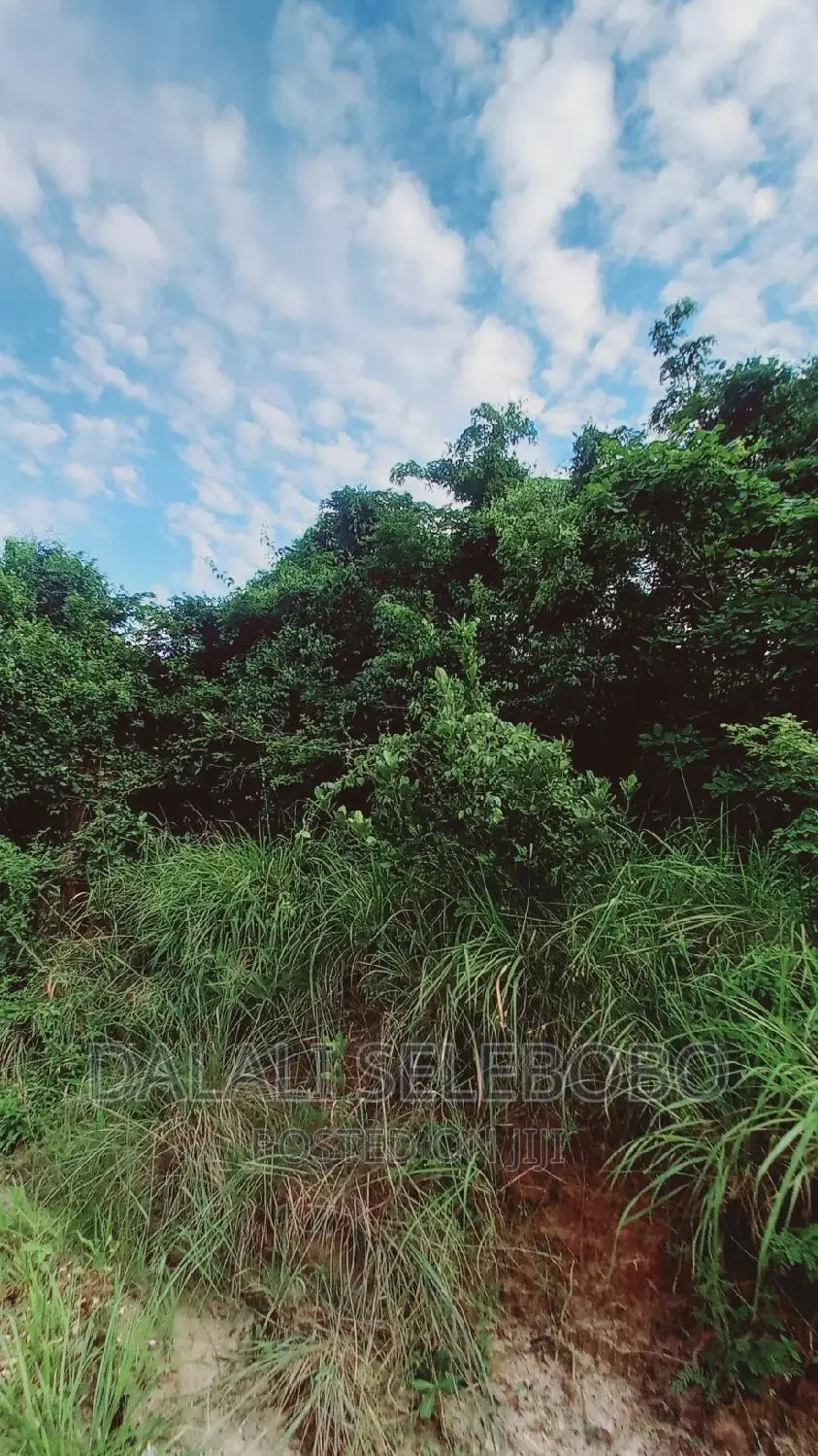 Beach Plot at Kilwa Masoko