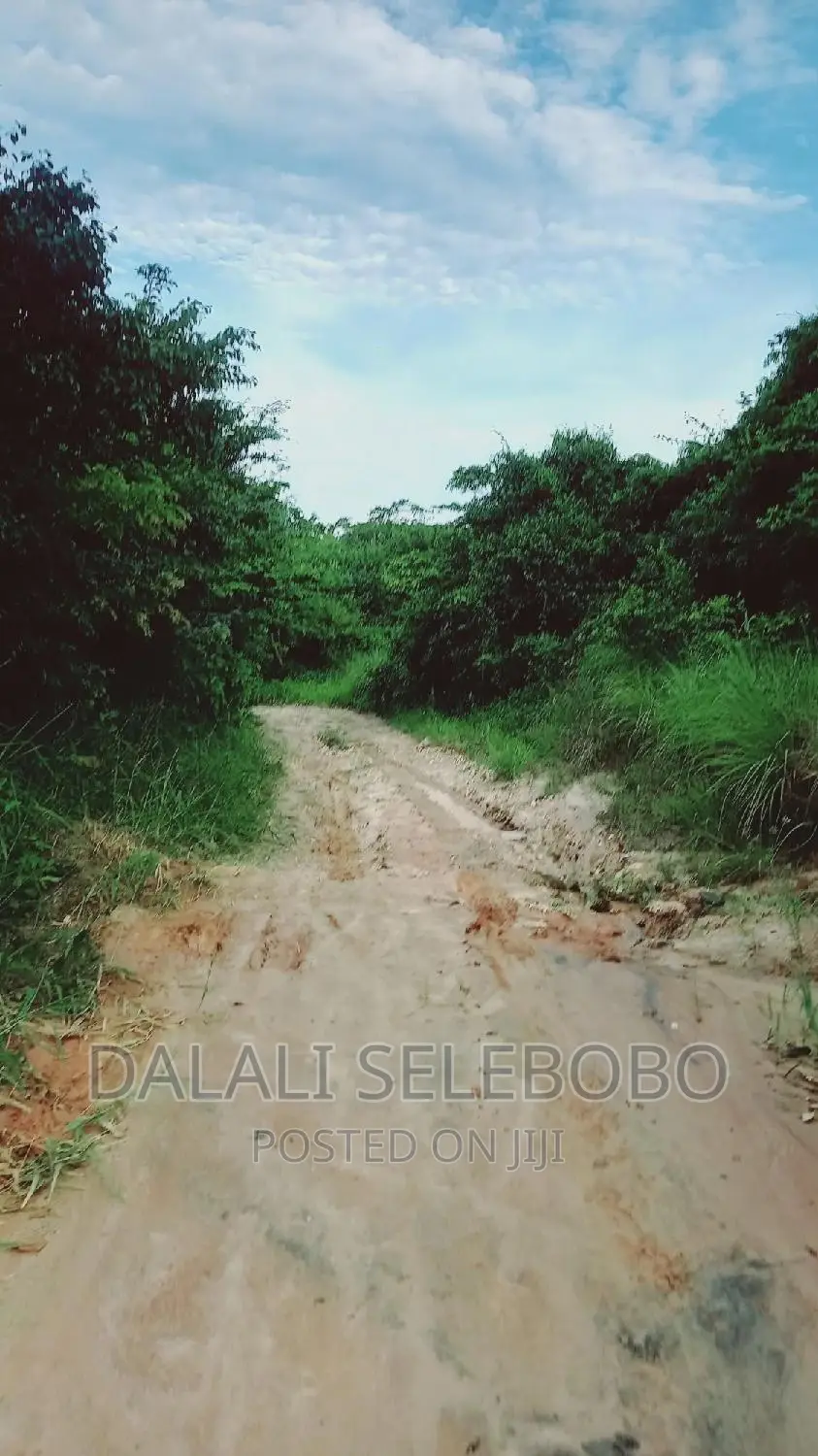 Beach Plot at Kilwa Masoko