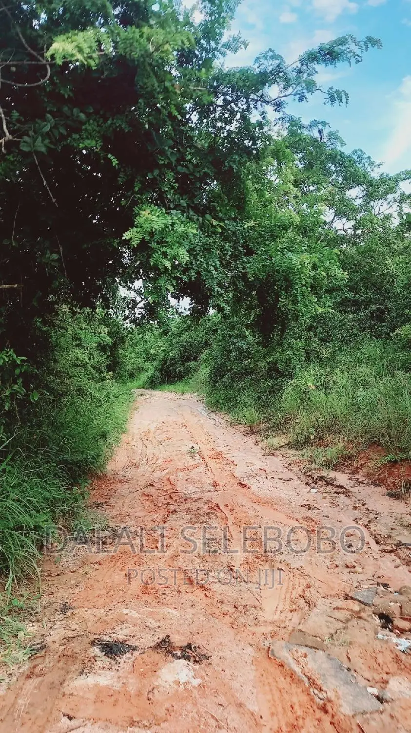 Beach Plot at Kilwa Masoko