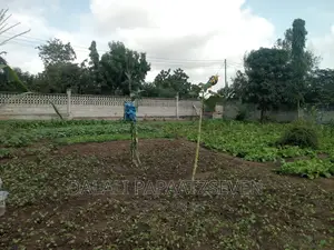 5bdrm House in Dalalipapaatzseven, Kinondoni for sale