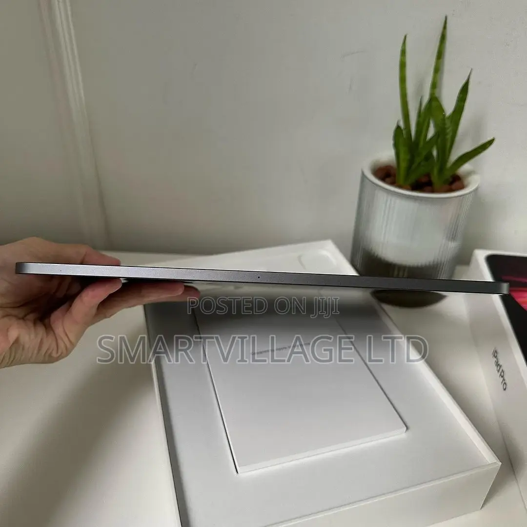 Apple iPad Pro 11 (2021) 1 TB Gray