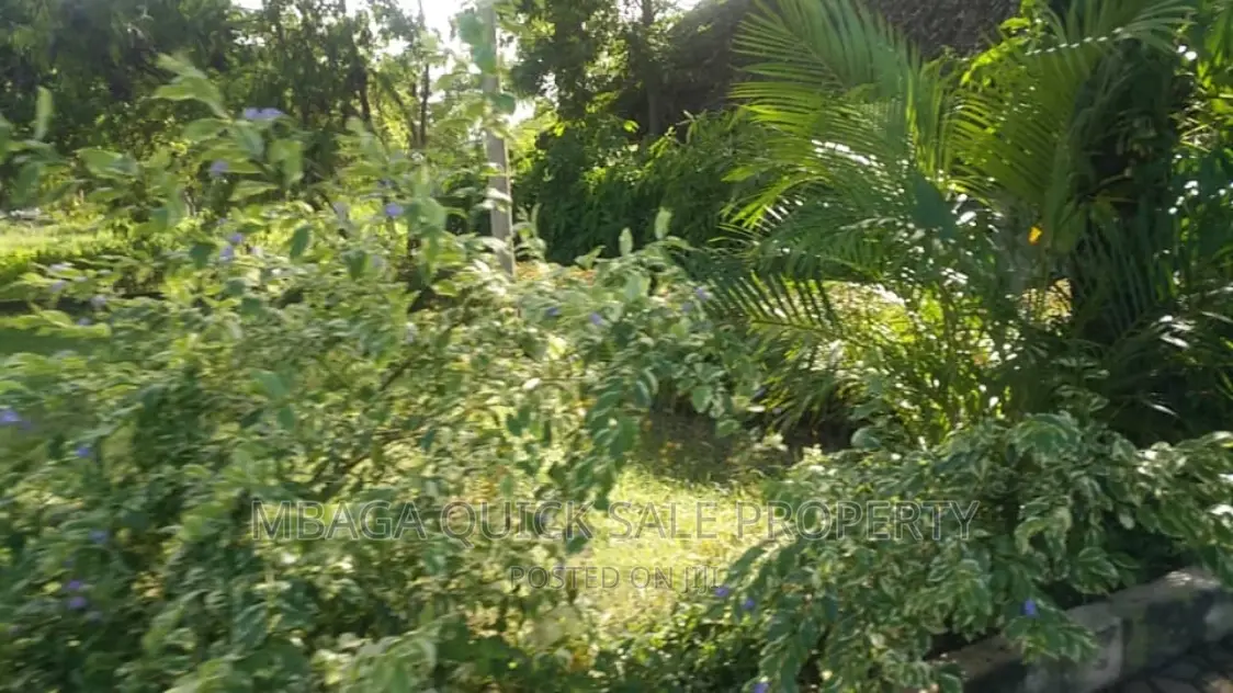 Restaurant Space for Rent at Mbezi Beach Jangwani Area