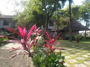 Restaurant Space for Rent at Mbezi Beach Jangwani Area