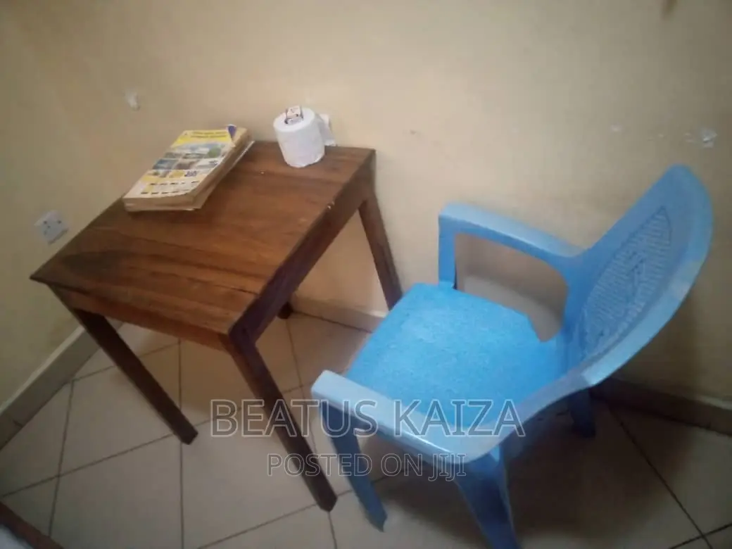Furnished 1bdrm Block of Flats in Lumumba Kariakoo for rent