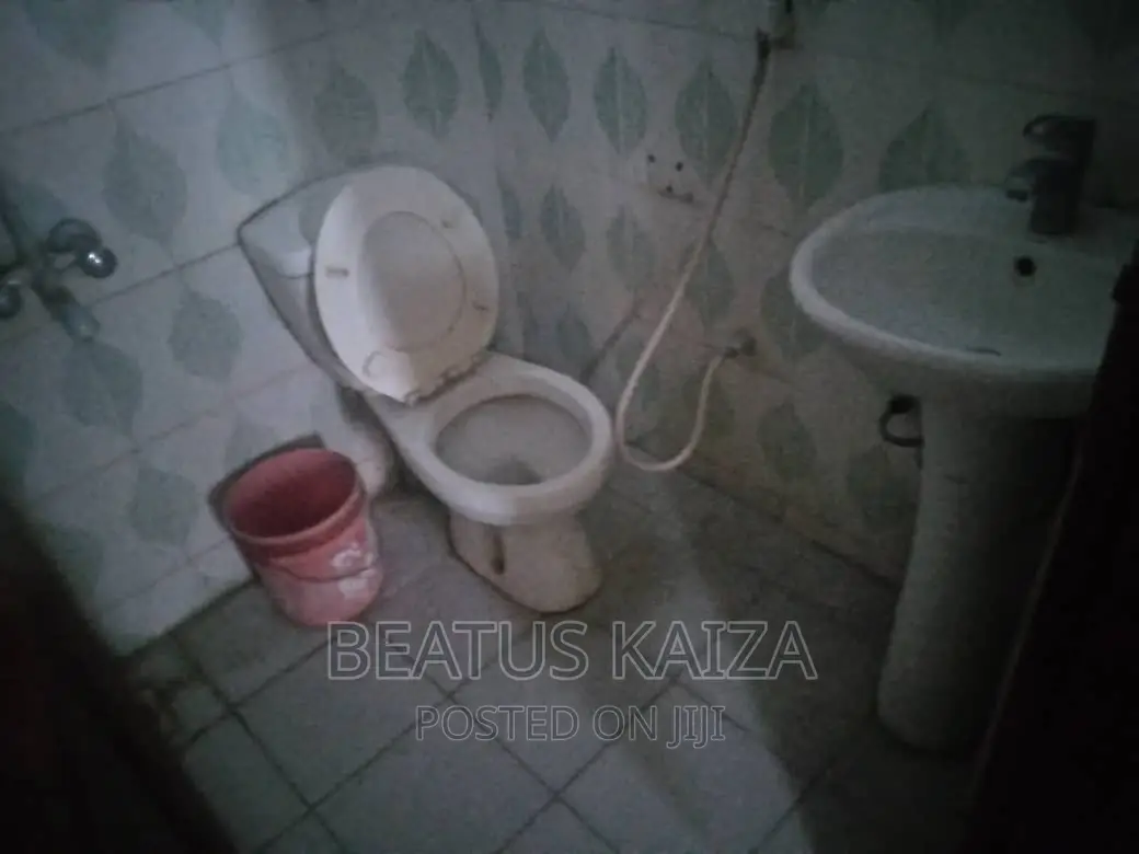 Furnished 1bdrm Block of Flats in Lumumba Kariakoo for rent