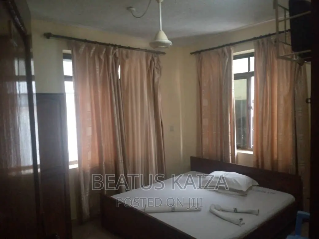 Furnished 1bdrm Block of Flats in Lumumba Kariakoo for rent