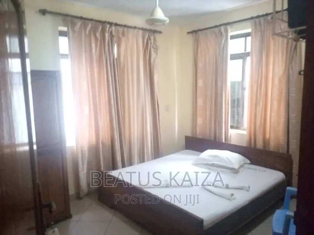 Furnished 1bdrm Block of Flats in Lumumba Kariakoo for rent