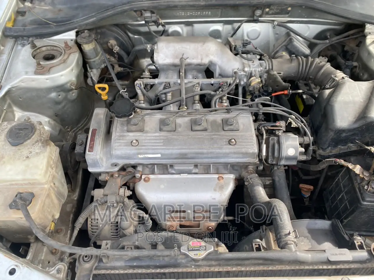Toyota Carina 2024 Silver