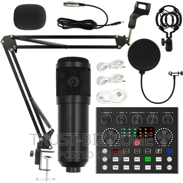 Studio Recording Microphone Condenser